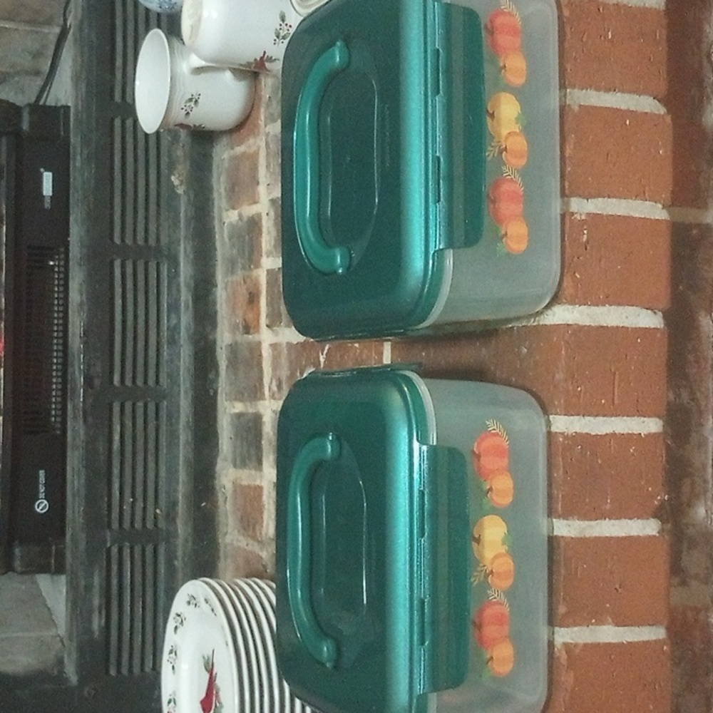 LocknLock 4 qt plastic food storage Set Of 2